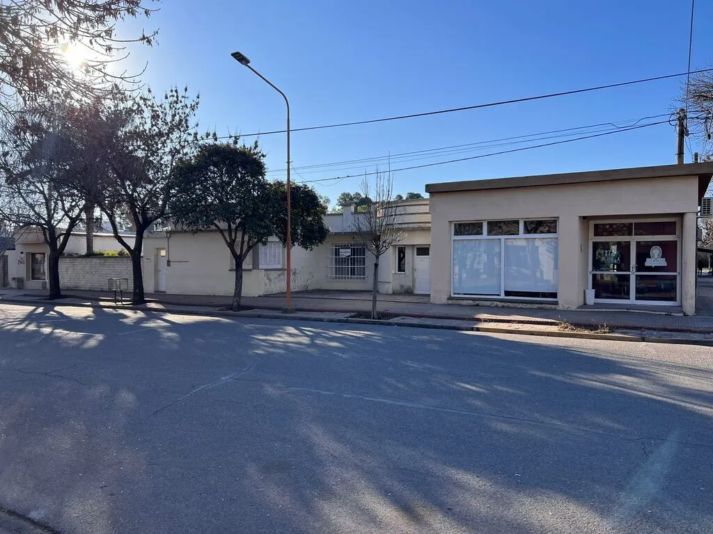 Local comercial y casa Buenos Aires y San Luis