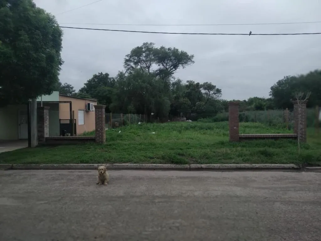 Terreno Calle Jujuy 100