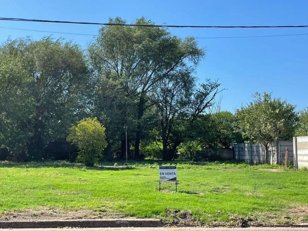 Terreno Calle Mendoza